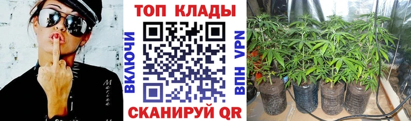 Где купить наркоту Нея АМФ  A PVP  Меф  Конопля 