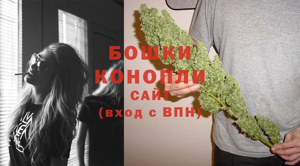 молекула духа Волоколамск